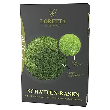 Loretta  Schattenrasensamen