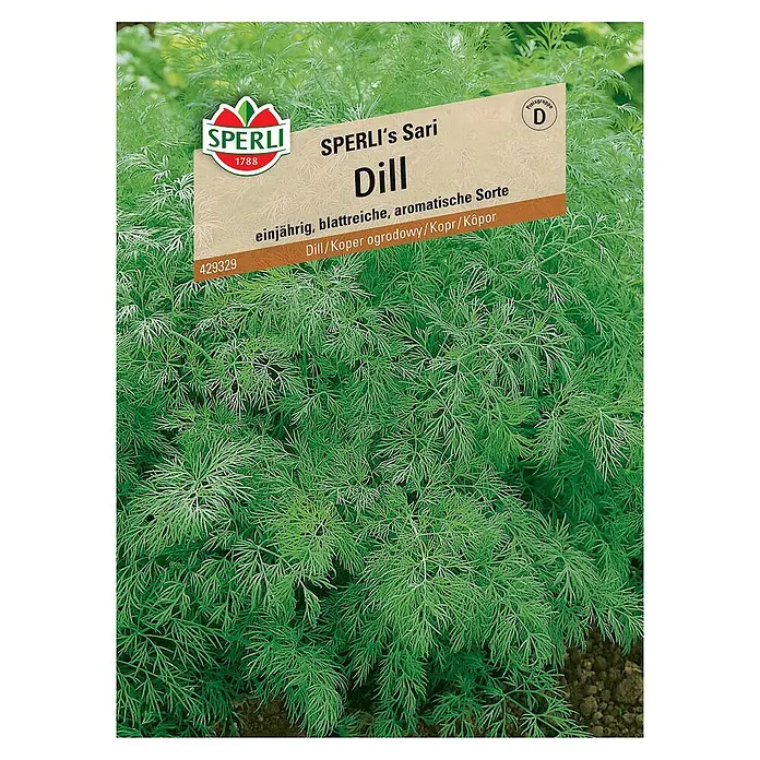 Sperli Kräutersamen DillAnethum graveolens var. hortorum, Saatzeit: März, Erntezeit: Ganzjährig - Samenpackung für 'Sperli's Sari' Dill, eine einjährige, aromatische Sorte für den Garten.