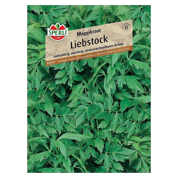 Sperli Kräutersamen Liebstock - Levisticum officinale, Saatzeit: April, Erntezeit: Mai - Bild einer Samenpackung für "Maggikraut Liebstock" von Sperli, ein mehrjähriges Kraut mit unverwechselbarem Aroma.