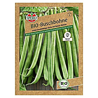 Sperli Gemüsesamen BIO Buschbohne (Phaseolus vulgaris var. nanus, Erntezeit: Juli)