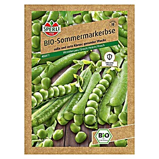 Sperli Gemüsesamen BIO Markerbse (Pisum sativum, Erntezeit: Juni - September)
