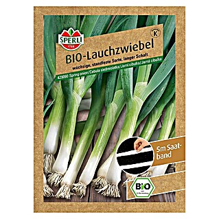 Sperli Gemüsesamen BIO Lauchzwiebel (Allium fistulosum, Erntezeit: Juni)