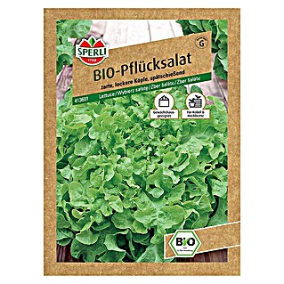 Sperli Salatsamen BIO Pflücksalat (Lactuca sativa var. crispa, Erntezeit: Mai)