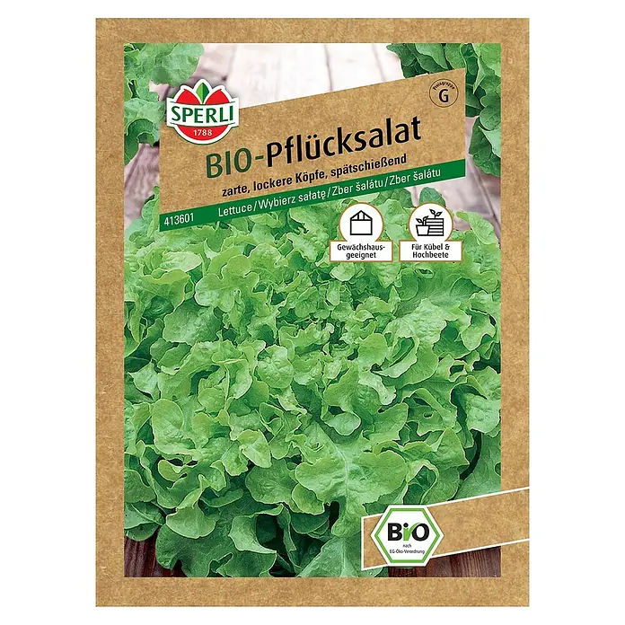 Sperli Salatsamen BIO Pflücksalat - Lactuca sativa var. crispa, Erntezeit: Mai - BIO-Pflücksalat-Samen von Sperli: Zarte, lockere Köpfe für Gewächshaus und Hochbeete. Ideal für den Bio-Anbau nach EG-Öko-Verordnung.