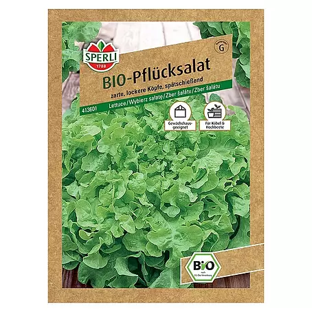 Sperli  Salatsamen BIO Pflücksalat