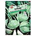 Sperli Gemüsesamen Kohlrabi 
