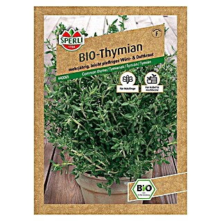 Sperli Kräutersamen BIO Thymian (Thymus vulgaris, Saatzeit: April, Erntezeit: Ganzjährig)