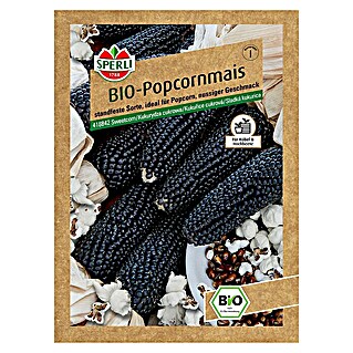 Sperli Gemüsesamen BIO Popcornmais (Zea mays, Erntezeit: September)