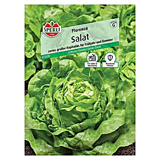 Sperli Salatsamen Salat