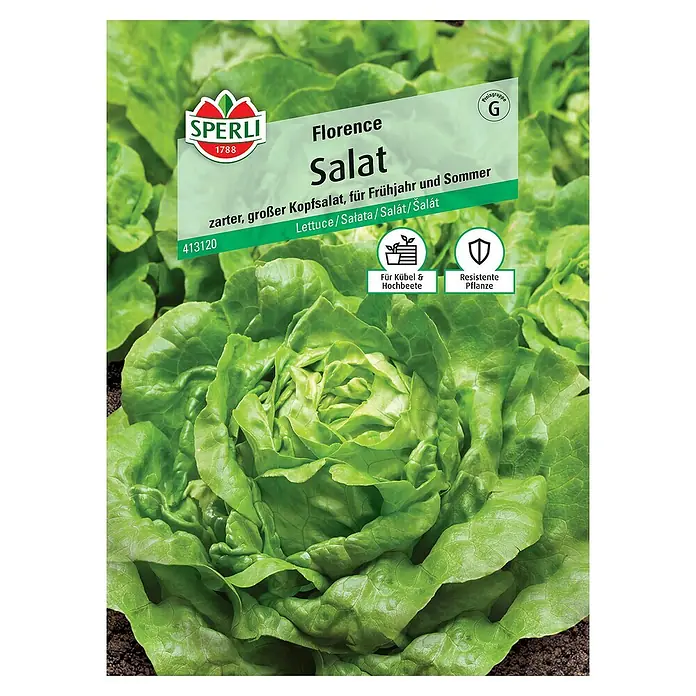 Sperli Salatsamen SalatLactuca sativa var. capitata, Erntezeit: Mai