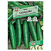 Sperli Gemüsesamen Salatgurke (Paska F1, Cucumis sativus, Erntezeit: Juli) | BAUHAUS