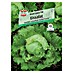 Sperli Salatsamen Eissalat 