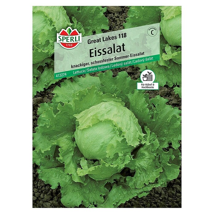 Sperli Salatsamen Eissalat (Lactuca sativa, Erntezeit: Juni) | BAUHAUS