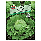 Sperli Salatsamen Eissalat (Lactuca sativa, Erntezeit: Juni) | BAUHAUS