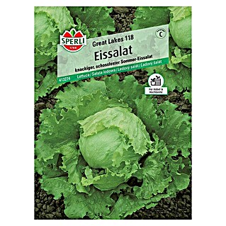 Sperli Salatsamen Eissalat (Lactuca sativa, Erntezeit: Juni)