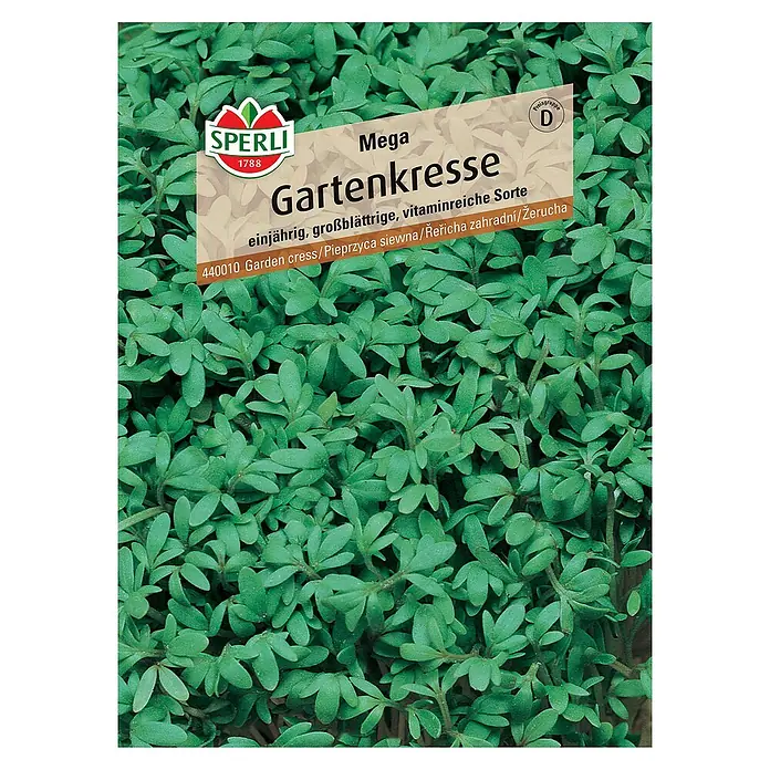 Sperli Saatgut GartenkresseLepidium sativum - Abbildung der Mega Gartenkresse von Sperli.