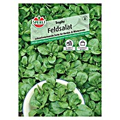 Sperli Salatsamen Feldsalat (Valerianella locusta, Erntezeit: September) | BAUHAUS