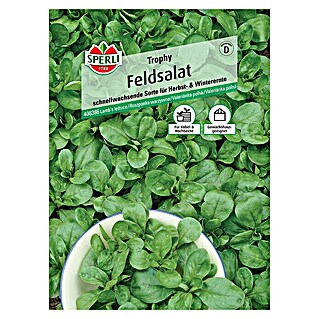 Sperli Salatsamen Feldsalat (Valerianella locusta, Erntezeit: September - April)