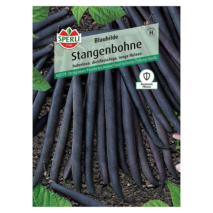 Batlle Stangenbohne Garrofo Samen - 100g Bohnenkerne Für Garten