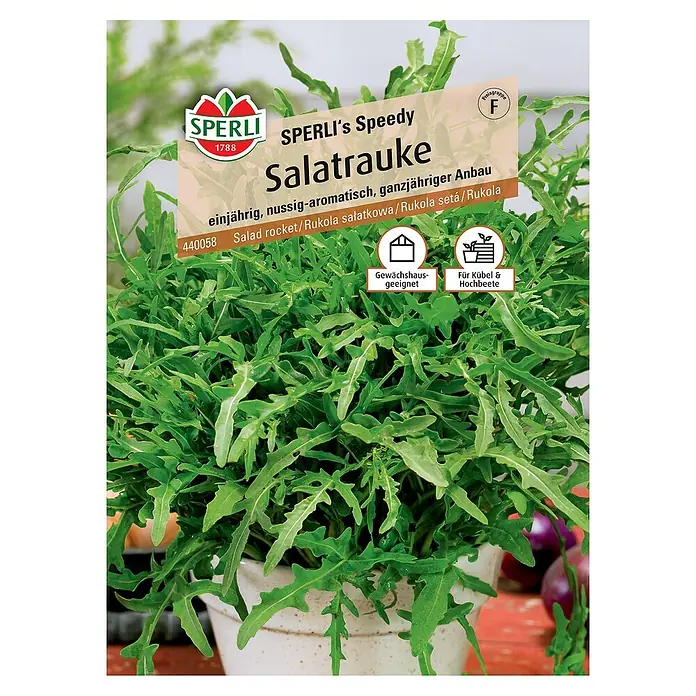 Sperli Salatsamen Salatrauke Speedy - Eruca sativa, Erntezeit: Ganzjährig - 'Sperli's Speedy Salatrauke': Einjährige, nussig-aromatische Salat-Rauke, ideal für Gewächshäuser und Hochbeete.