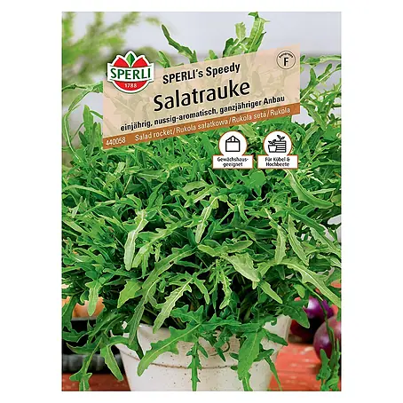 Sperli  Salatsamen Salatrauke Speedy