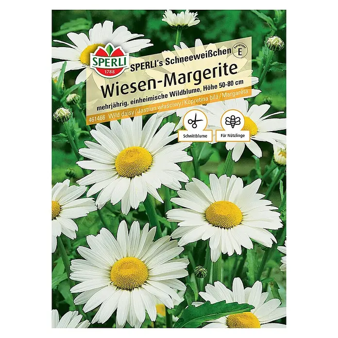 Sperli Blumensamen Wiesen-Margerite - Cosmos bipinnatus - Bild einer Packung 'Sperli's Schneeweißchen Wiesen-Margerite' Blumensamen mit blühenden Margeriten im Hintergrund.