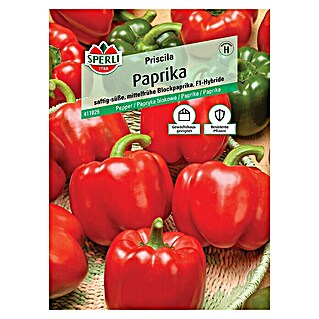 Sperli Gemüsesamen Paprika (Priscila F1, Capsicum annuum, Erntezeit: Juli)