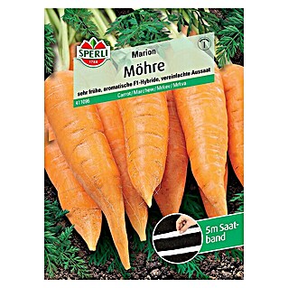 Sperli Gemüsesamen Möhre (Marion - Saatband, Daucus carota, Erntezeit: Juni)