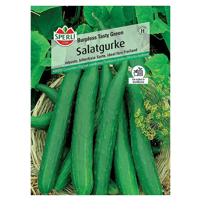Sperli Gemüsesamen Salatgurke - Tasty Green F1, Cucumis sativus, Erntezeit: Juli - Abbildung der Samenpackung "Burpless Tasty Green Salatgurke" von Sperli, die eine robuste, bitterfreie Gurkensorte für den Freilandanbau verspricht.
