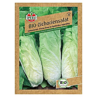 Sperli Salatsamen BIO Zichoriensalat (Chichorium intybus, Erntezeit: Oktober)