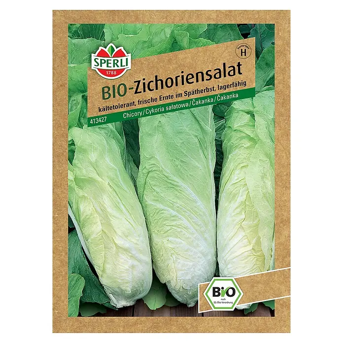 Sperli Salatsamen BIO Zichoriensalat - Chichorium intybus, Erntezeit: Oktober - Bild einer Samenpackung für Bio-Zichoriensalat der Marke Sperli. Kältetolerante Sorte, die im Spätherbst geerntet wird und lagerfähig ist.