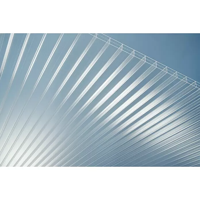 PLEXIGLAS® Acrylglas-Stegplatte proTerra - 2.500 x 980 x 16 mm, Acrylglas (PMMA), Transparent - Transparente Stegplatte aus Polycarbonat vor blauem Hintergrund, zeigt Innenstruktur und Transparenz.
