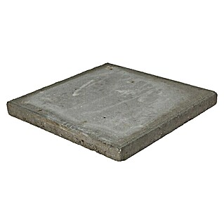 Terrastegel beton (50 x 50 x 4,8 cm, Grijs)