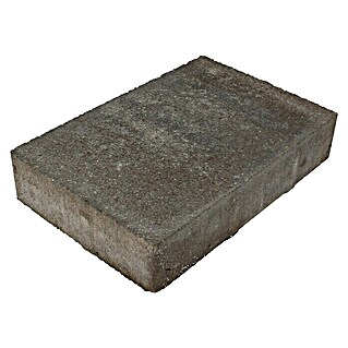Terrastegel Premium beton (30 x 20 x 4,7 cm, Mediterre Bruin)