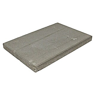 Terrastegel beton (60 x 40 x 4,8 cm, Grijs)