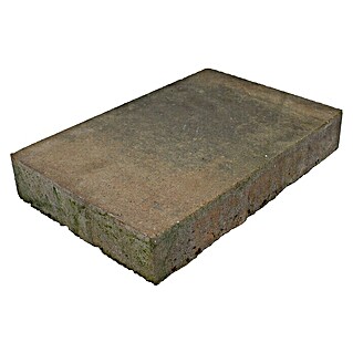 Nature Terrastegel Basis beton (30 x 20 x 4,7 cm, Nature Beige)