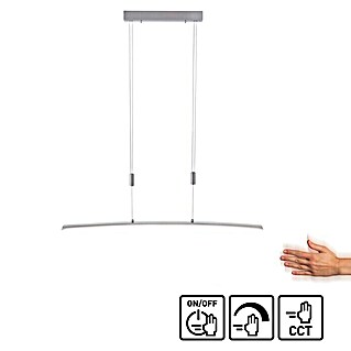 Paul Neuhaus LED-Pendelleuchte Janina (12 W, L x B x H: 14 x 14 x 120 cm, Stahl, Warmweiß)