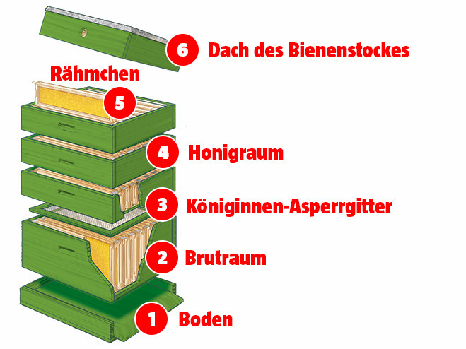 Bienenstock
