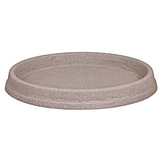 Geli Plato redondo para maceta Marcella (Dimensiones externas (Ø x Al): 35 x 4 cm, Plástico, Taupe)
