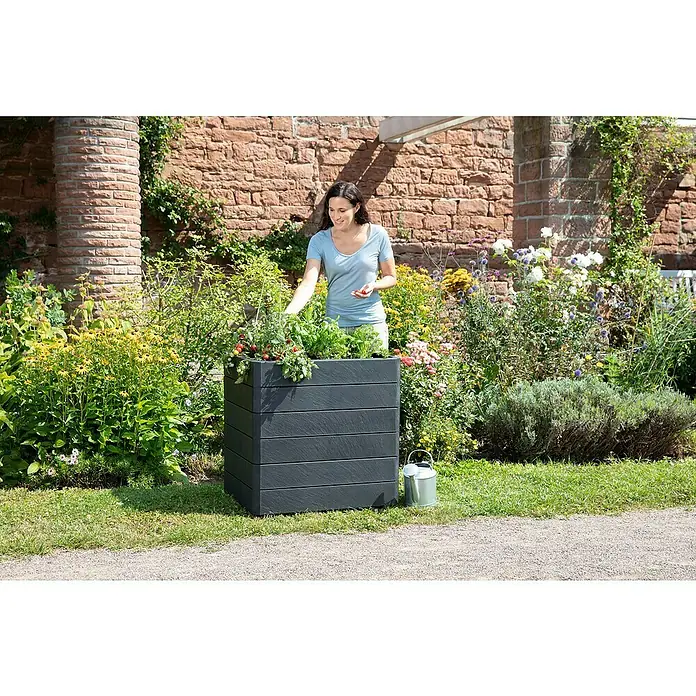 Garantia Hochbeet Ergo Quadro M Stone - Set - 60 x 80 x 75 cm, Kunststoff, Anthrazit - Frau erntet Tomaten aus einem eckigen, anthrazitfarbenen Pflanzgefäß im Garten, umgeben von üppiger Vegetation und Blumen.