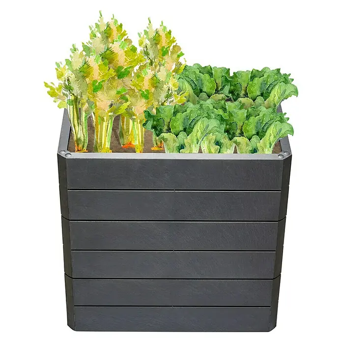 Garantia Hochbeet Ergo Quadro M Stone - Set - 60 x 80 x 75 cm, Kunststoff, Anthrazit - Ein schwarzer, erhöhter Pflanzkasten aus Holz mit Salat und Stangensellerie. Ideal für den Garten oder die Terrasse und bietet Platz für Gemüse.