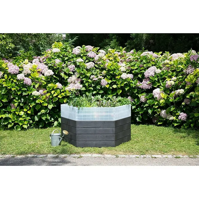 Garantia Hochbeet Ergo Turbo XL Wood Set - Kunststoff, Anthrazit/Braun - Ein erhöhter, sechseckiger Pflanzkasten mit Pflanzen, vor einem blühenden Hortensienbusch und einer Gießkanne auf dem Rasen.