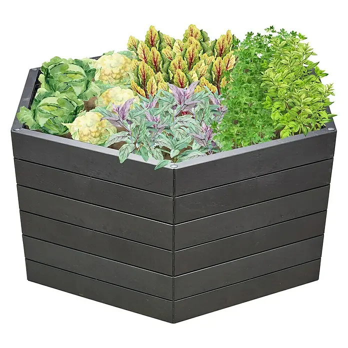 Garantia Hochbeet Ergo XL Stone Set - Ø x H: 145 x 75 cm, Kunststoff, Anthrazit - Eine sechseckige, schwarze Hochbeetkiste aus Holz, bepflanzt mit Salat, Kohlrabi, Mangold, Salbei und Kräutern für den Garten.