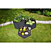 Garantia Hochbeet Ergo Vario 1 Stone (190 x 190 x 50 cm, Kunststoff, Anthrazit) | BAUHAUS