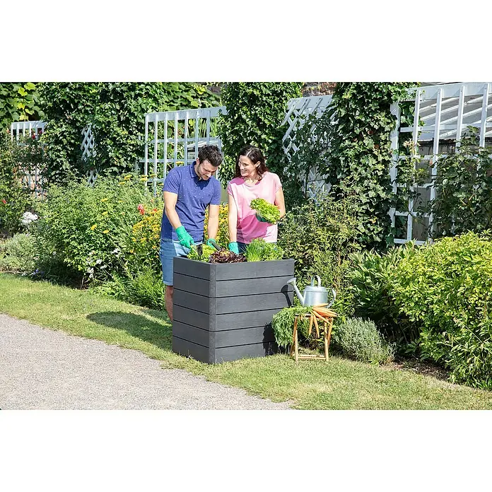 Garantia Hochbeet Ergo Quadro M Wood - Set - 60 x 80 x 75 cm, Kunststoff, Anthrazit/Braun - Bild eines erhöhten quadratischen Pflanzgefäßes aus grauem Kunststoff in einem Garten mit zwei Personen, die Gemüse ernten.