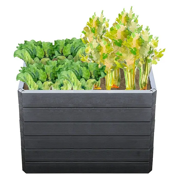 Garantia Hochbeet Ergo Quadro M Wood - Set - 60 x 80 x 75 cm, Kunststoff, Anthrazit/Braun - Gemüsebeet mit Salat und anderem Gemüse. Der Pflanzkasten ist aus grauem Holz gefertigt und steht auf einem schwarzen Hintergrund.