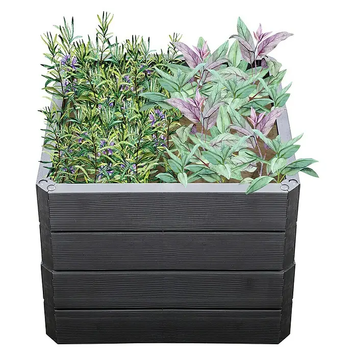Garantia Hochbeet Ergo Quadro S Wood - Set - 60 x 60 x 50 cm, Kunststoff, Anthrazit/Braun - Bild eines dunklen Pflanzkastens mit zwei verschiedenen Pflanzenarten, die aus der Erde wachsen. Der Pflanzkasten ist aus Holz.