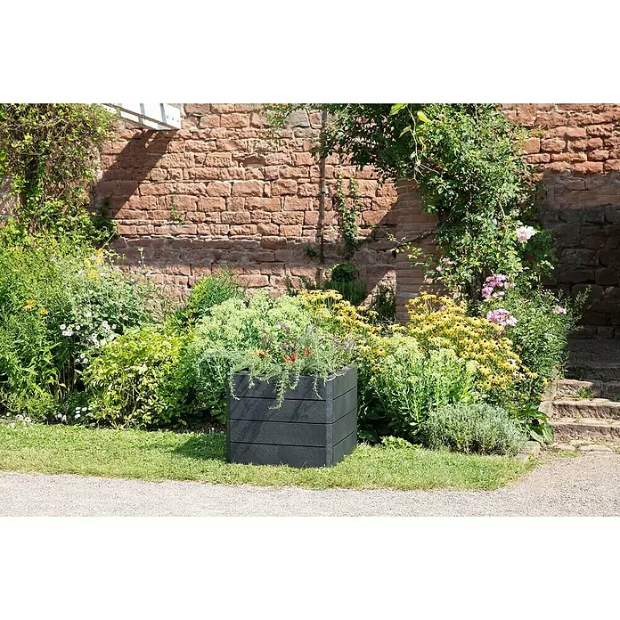Garantia Huerto Ergo Quadro S Stone - Set - 60 x 60 x 50 cm, Plástico, Antracita - Jardinera cuadrada elevada hecha de material oscuro y texturizado, llena de exuberantes plantas verdes, sobre una pared de ladrillos.
