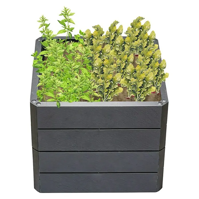Garantia Hochbeet Ergo Quadro S Stone - Set - 60 x 60 x 50 cm, Kunststoff, Anthrazit - Schwarzer Pflanzkasten mit Kräutern. Das Hochbeet ist mit Oregano und gelbem Gemüse bepflanzt. Perfekt für den Garten oder Balkon.