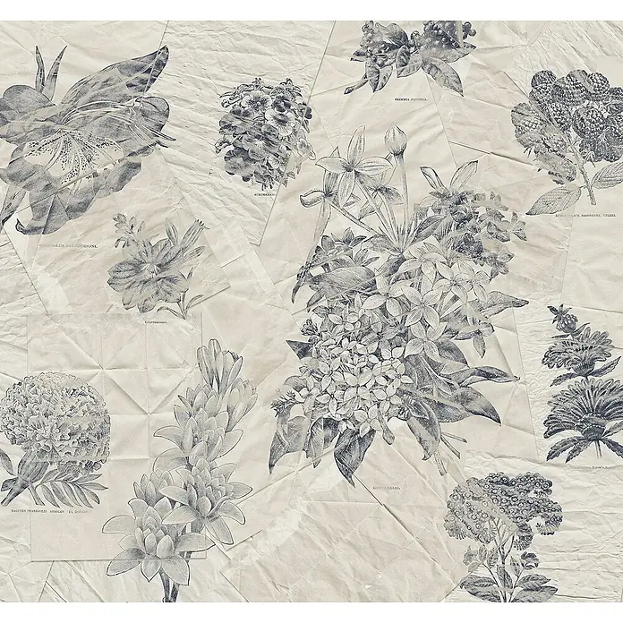 Komar Raw Fototapete Botanical Papers - B x H: 400 x 280 cm, Vlies - Eine detailreiche Illustration von Blumen auf einem gealterten Papier-Hintergrund, die eine Vintage-Ästhetik und botanische Eleganz vermittelt.